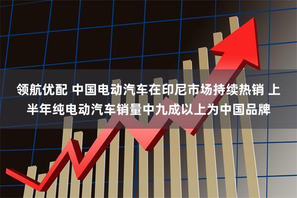 领航优配 中国电动汽车在印尼市场持续热销 上半年纯电动汽车销量中九成以上为中国品牌