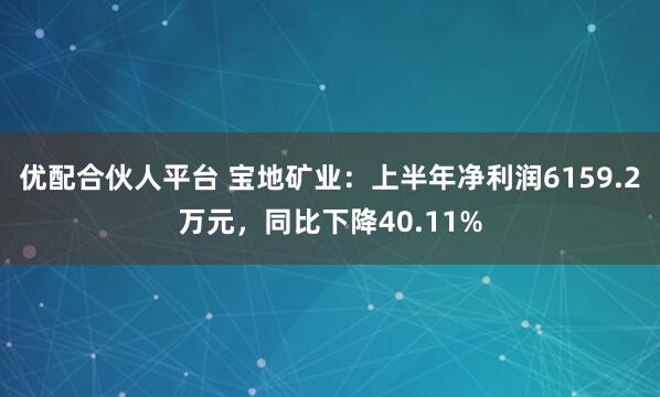 优配合伙人平台 宝地矿业：上半年净利润6159.2万元，同比下降40.11%